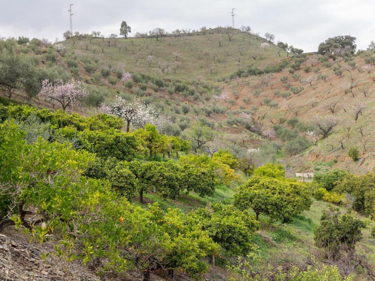 Alojamiento Rural Casa La Era Almogia ภายนอก รูปภาพ